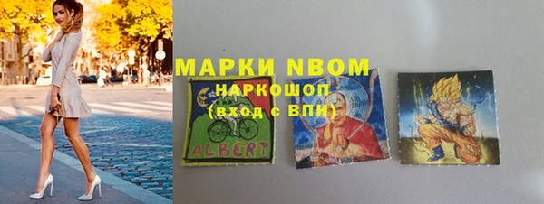 ПСИЛОЦИБИНОВЫЕ ГРИБЫ Горняк