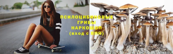 не бодяженный Горно-Алтайск