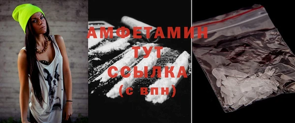 ПСИЛОЦИБИНОВЫЕ ГРИБЫ Горняк