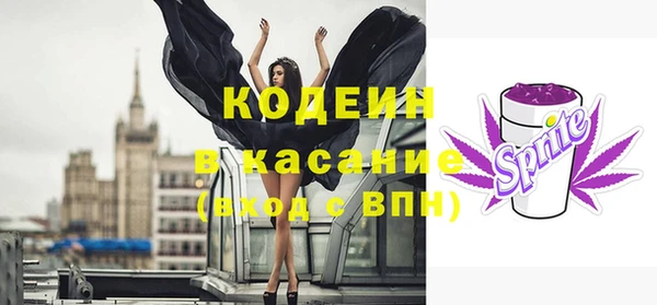 ПСИЛОЦИБИНОВЫЕ ГРИБЫ Горняк