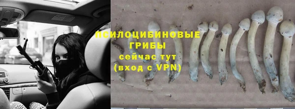 не бодяженный Горно-Алтайск
