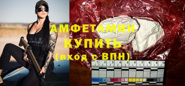 ПСИЛОЦИБИНОВЫЕ ГРИБЫ Горняк