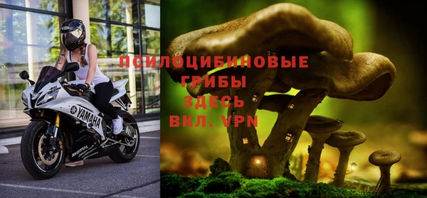 ПСИЛОЦИБИНОВЫЕ ГРИБЫ Горняк