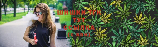 apvp Горнозаводск