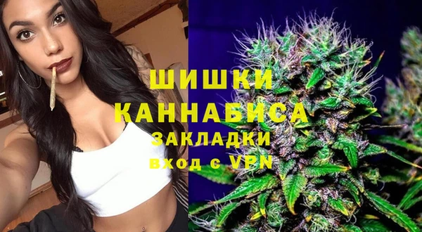 не бодяженный Горно-Алтайск
