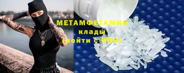 ПСИЛОЦИБИНОВЫЕ ГРИБЫ Горняк