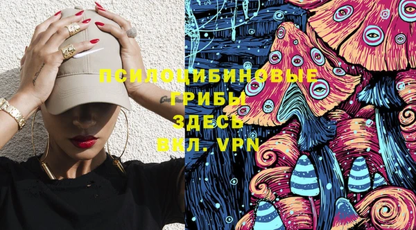 apvp Горнозаводск
