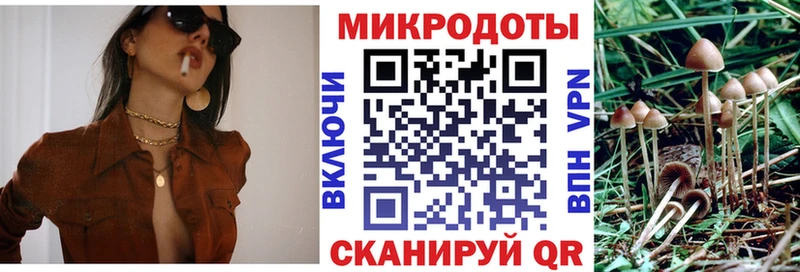 Галлюциногенные грибы Cubensis  Купить  Кимовск 